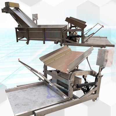 SUS304 Équipement pratique pour la transformation du poisson anti-corrosion stable