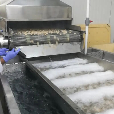 Bon prix Machine de refroidissement de fruits de mer à 380 V, machine de transformation de crevettes, machine de transformation de poissons, machine de refroidissement de crevettes en ligne