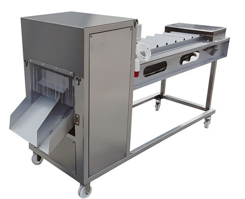 Bon prix SUS304 Machine à découper le poisson industriel 380V 60-90 pièces/min en ligne