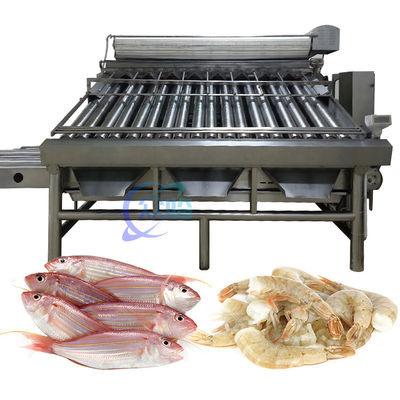Bon prix Équipement de tri du poisson à 380 V, anti-érosion. en ligne