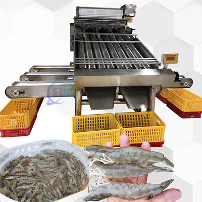 Machine de classement de crevettes 3P multi-scène multi-fonction automatique