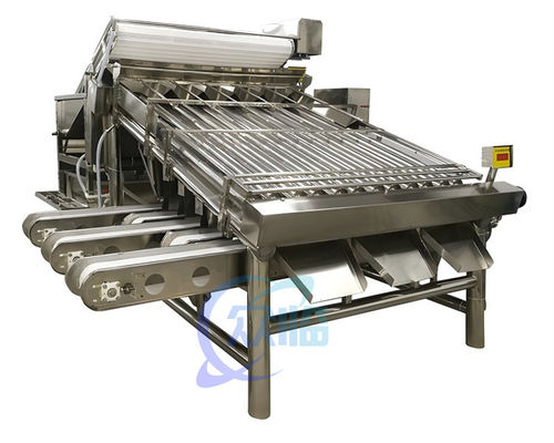 Bon prix Petite machine de tri de crevettes stable multiscène pour le tri du poisson en ligne