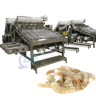 Bon prix Machine de tri des crevettes industrielles anti-corrosion polyvalente en ligne