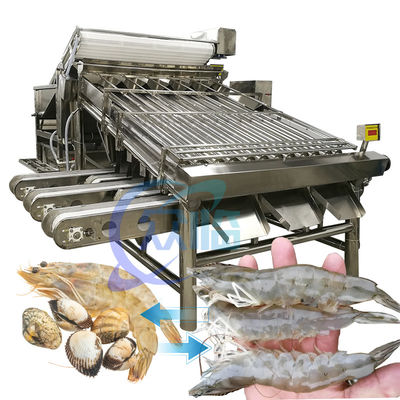 Bon prix Machine de tri des crevettes en acier inoxydable pratique 6000x4000x2200mm en ligne