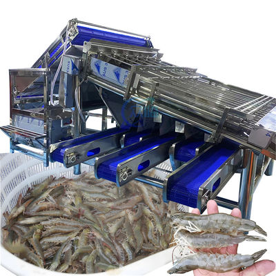 Bon prix Machine de tri de crevettes industrielles multi-scène imperméable à l'eau automatique en ligne