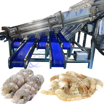 Bon prix Équipement de tri des crevettes en acier inoxydable en ligne
