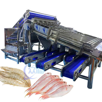 Bon prix Machine automatique de tri des crevettes 4,9 kW Stable pour le tri de Vannamei en ligne