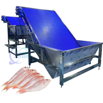 Bon prix Machine à trier les crevettes anti-corrosion Multiscene pratique 4,9 kW en ligne