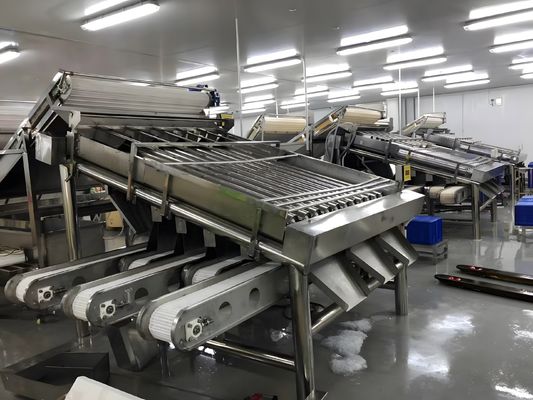 Bon prix Machine de tri de crevettes durable, équipement de tri de crevettes anti-érosion en ligne