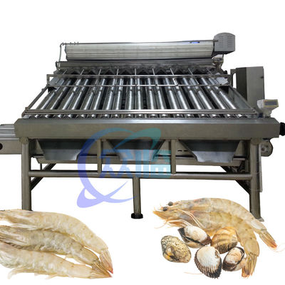 Bon prix 380V 50Hz machine de classement de crevettes multifonctionnelle pour le dimensionnement des crevettes en ligne