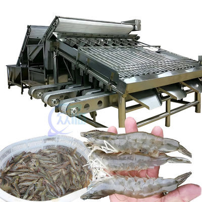 Bon prix Machine de tri des crevettes de poisson de 1500 kg polyvalente pour l'industrie en ligne