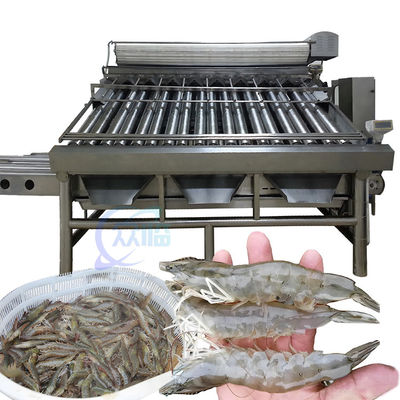 Bon prix Machine de classement des crevettes antiérosion à l'épreuve de l'huile stable 1500 kg de poids en ligne