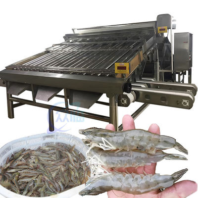 Bon prix SUS304 Machine de tri pratique des crevettes, classificateur de crevettes anti-corrosion en ligne
