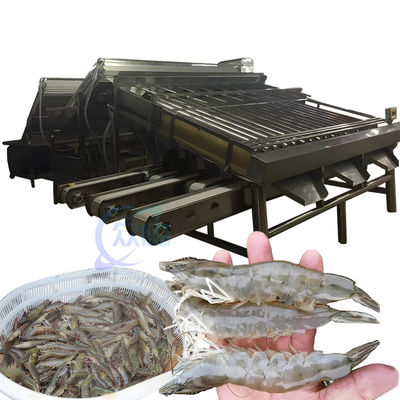 Bon prix Machine de tri des crevettes multifonctionnelle en acier inoxydable durable en ligne