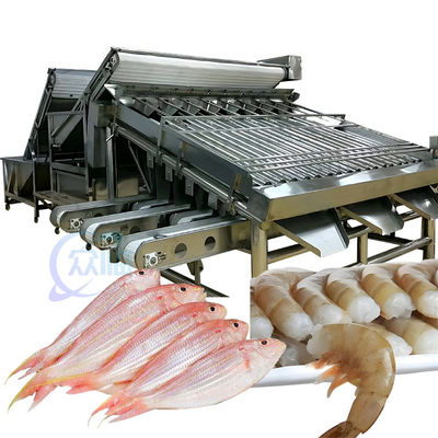 Machine de tri des fruits de mer ISO 1500KG, tri multifonctionnel de la taille du poisson