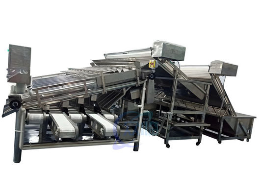 Bon prix 4900W machine de tri des crevettes contrôle à rouleaux anti-érosion automatique en ligne