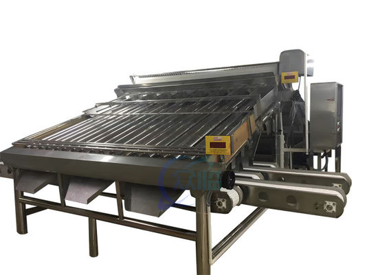 Bon prix Durable 4,9KW machine de classement de crevettes automatique pour la taille de crevettes en ligne