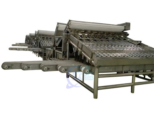 Bon prix 380V 50Hz machine de tri des fruits de mer, machine de taille de crevettes multi-scène en ligne