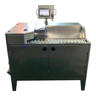 Réservoir de décapage de crevettes à distance 220V 70Pcs/Min