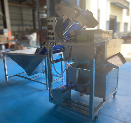 Machine de nettoyage de poissons multifonctionnelle antiérosion automatique