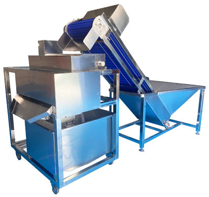 Bon prix Machine automatique de nettoyage de crevettes 1,5 kW de grande capacité stable en ligne