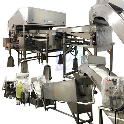 Une usine de traitement de crevettes de 800W, système automatique de décapage de crevettes.