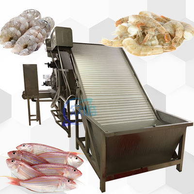 Machine de tri des crevettes 380V 50Hz, équipement de traitement des fruits de mer durable