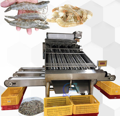 Bon prix Équipement pratique de tri des crevettes anti-corrosion en ligne