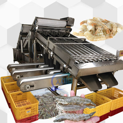 4.9KW SUS304 machine de tri des crevettes automatique pour le tri de la taille des poissons