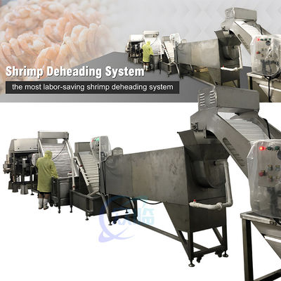 Appareil de décapage de crevettes pratique 19500x2500x1700mm Multiscène