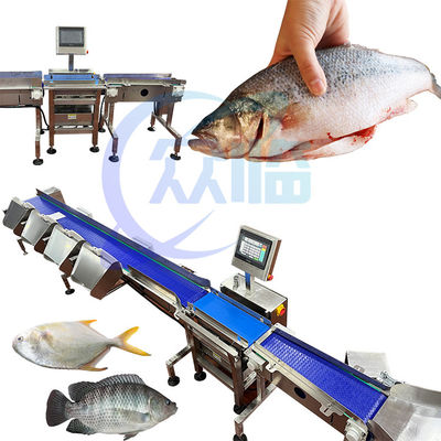 Machine de taille de poisson commerciale à poids unique 1g-3g Pangasius