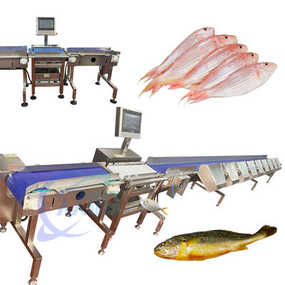 Bon prix Machine de tri des poissons vivants de haute précision Équipement de tri des poissons vivants en ligne