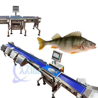 121 pièces/min classificateur de poids de poisson machine de pesée et de tri pour milieu aquatique