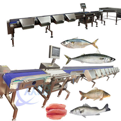 Bon prix Machine de classement des basses à commande informatique en ligne