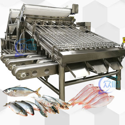 Grande sortie classificateur de poisson entier avec 18 rouleaux machine de tri du poisson entier et de poisson dimensionnement