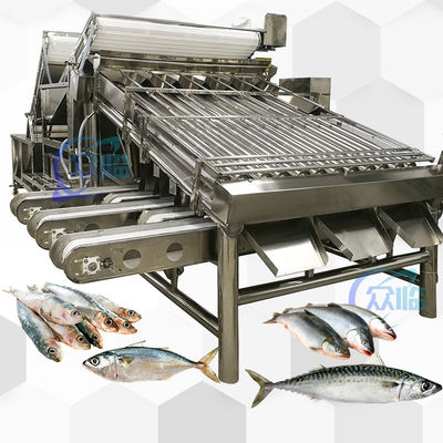 Bon prix Machine de tri à grande vitesse Saury Saury Roller Grader 5 personnes opérateur en ligne