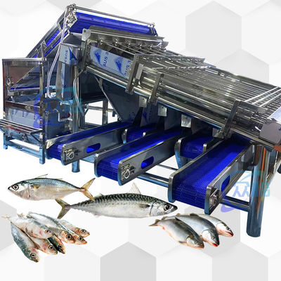 Machine de tri des poissons de grande capacité, classeur à rouleaux de poissons 4,9 kW 2 -8 T/h