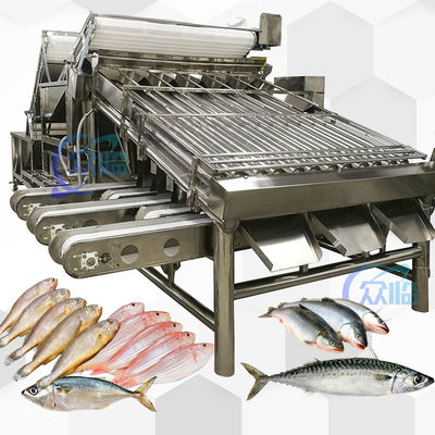 Acier inoxydable 304 Jaune Croaker Grader 12pcs rouleau de sardine Maquereau Grader