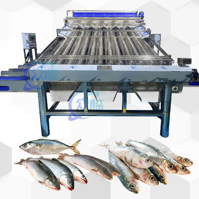 Machine de tri en plastique à convoyeur Saury Machine de tri en croquer jaune