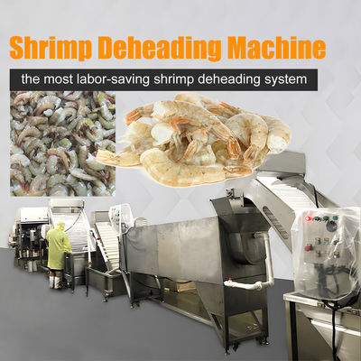 Ligne de production de système automatique de décapage des crevettes