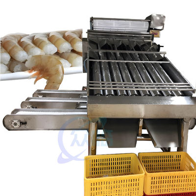 Récolte de crevettes d'élevage Machine de tri rapide et de spécification de taille