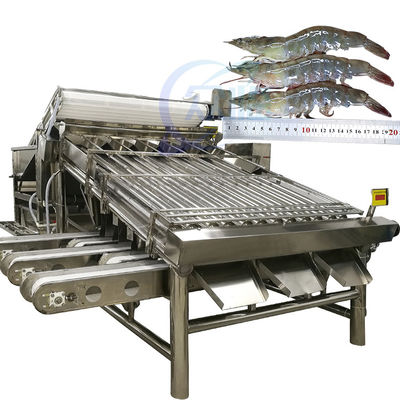 Bon prix Réglageur automatique de crevettes, tri des crevettes, machine de tri des crevettes, machine de tri des crevettes fraîches, machine de tri des crevettes fraîches en ligne