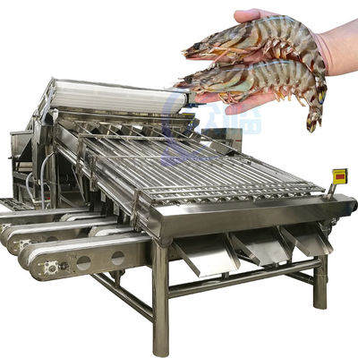 Bon prix Machine de criblage de taille et de spécifications de poissons de trieuse de traitement et de poissons efficaces en ligne