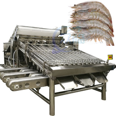 Bon prix Machine automatique de tri des crevettes pour éplucher les crevettes, laver les crevettes fraîches, tri en roulement des crevettes en ligne