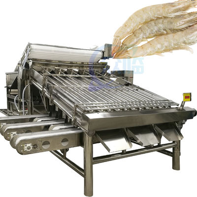 Machine de tri et de tri des homards Machine de tri des crevettes