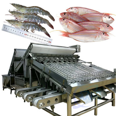 Bon prix Machine automatique de tri des crevettes pour éplucher les crevettes, laver les crevettes fraîches, tri en roulement des crevettes en ligne