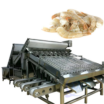 Machine de traitement et de tri des crevettes en acier inoxydable