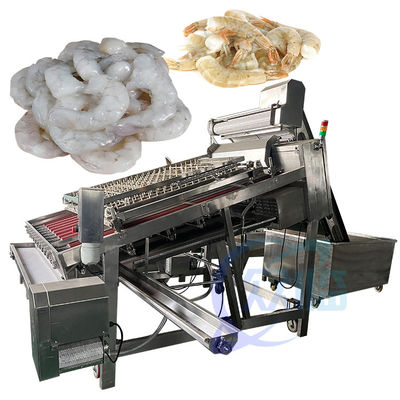 Ligne de production de pellicule de crevettes entièrement automatique Le matériau global est 304 en acier inoxydable