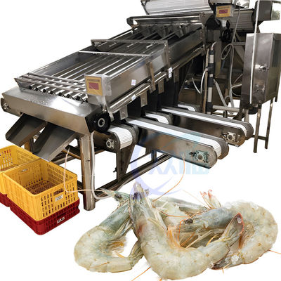 Smart 304 machine de tri de crevettes en acier inoxydable fiable adapté à l'industrie des produits de la mer