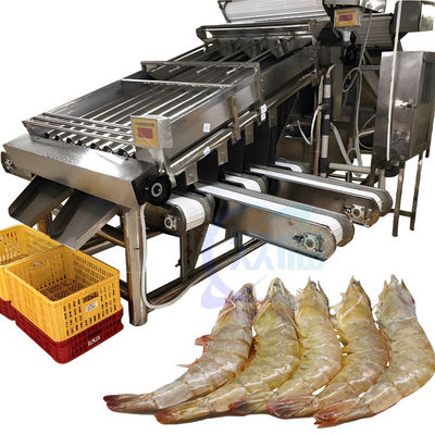 Bon prix Machine de tri de taille de l'usine de transformation du poisson et des crevettes en ligne